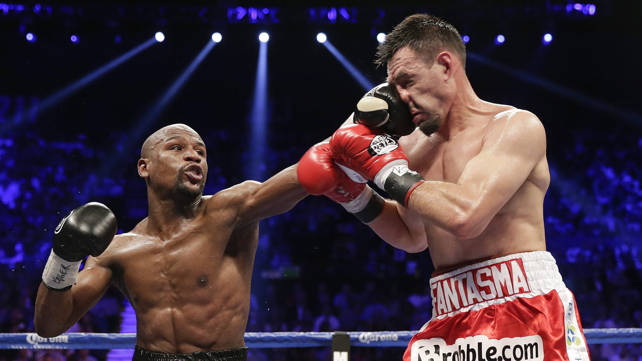 季中分析报告：哪些球队潜力无限？，哪些球队进入季后赛